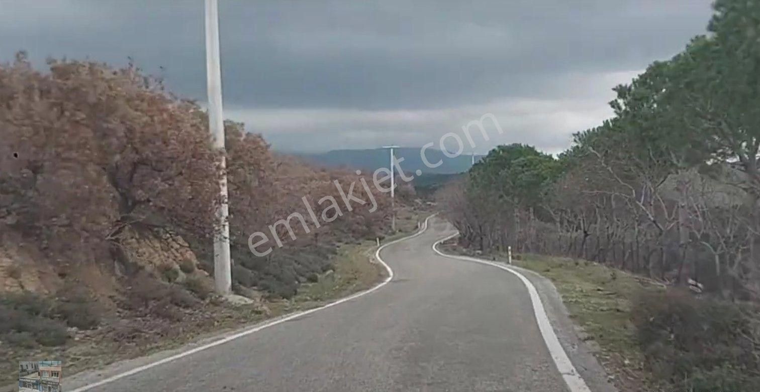 Balıkesir Gömec Kobaşlar Da Satılık 10,000 Metre Kare Bağ Evi Arsası - Görsel 10