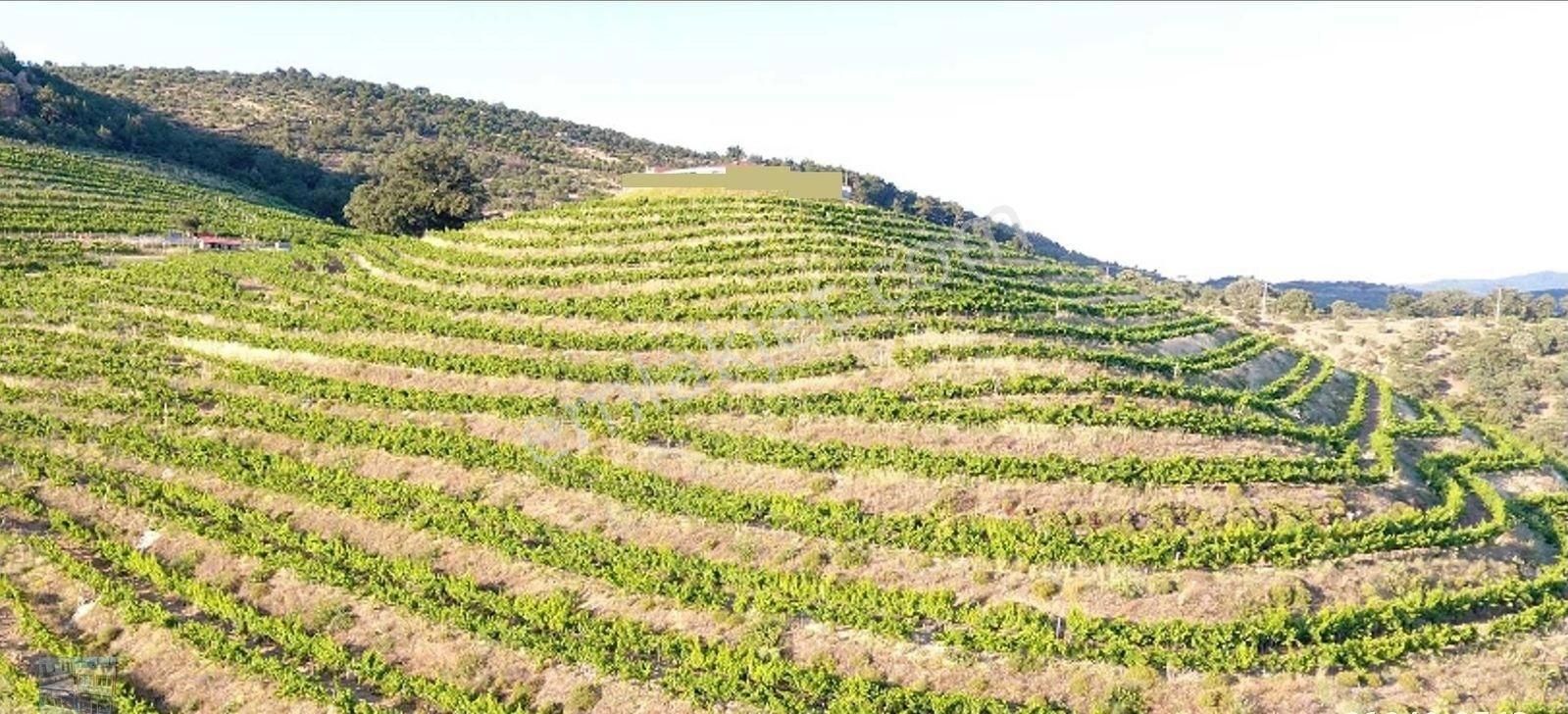 Balıkesir Gömec Kobaşlar Da Satılık 10,000 Metre Kare Bağ Evi Arsası - Görsel 16