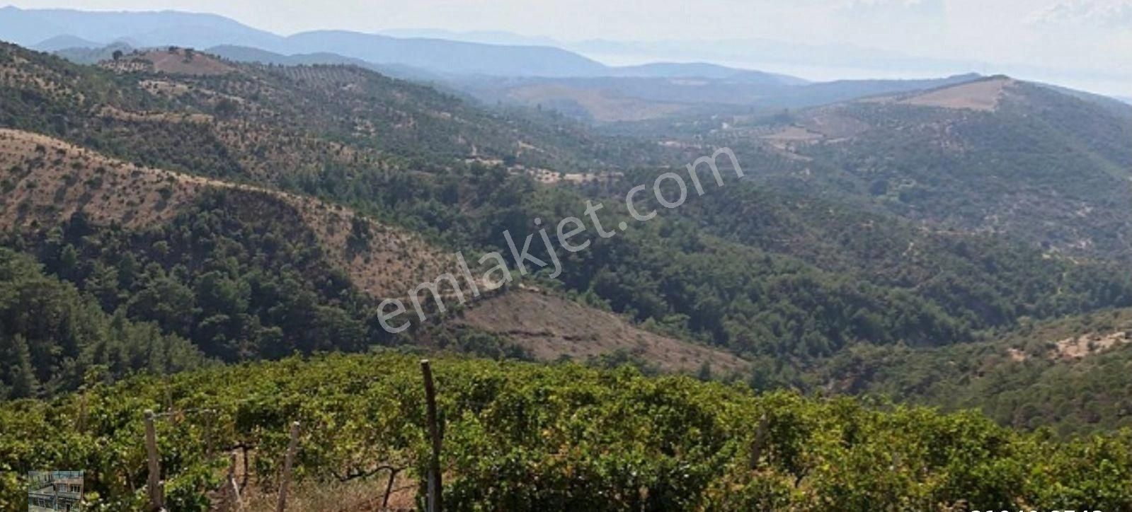 Balıkesir Gömec Kobaşlar Da Satılık 10,000 Metre Kare Bağ Evi Arsası - Görsel 2