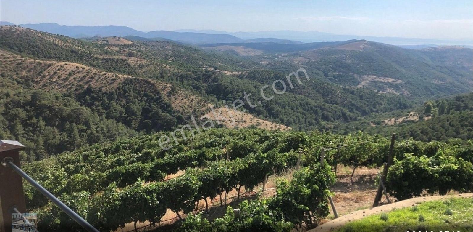 Balıkesir Gömec Kobaşlar Da Satılık 10,000 Metre Kare Bağ Evi Arsası - Görsel 3