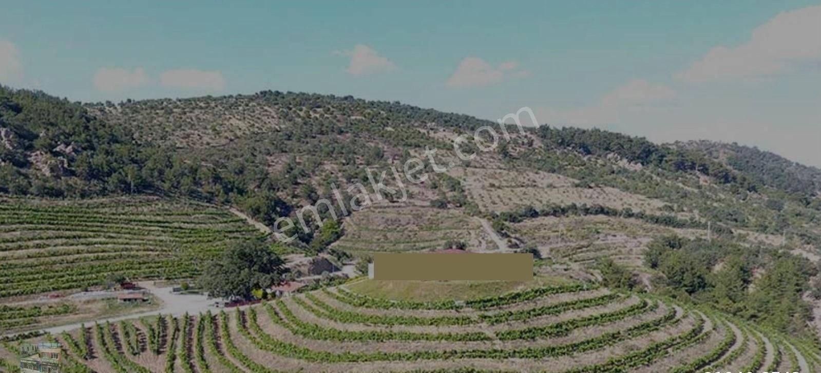Balıkesir Gömec Kobaşlar Da Satılık 10,000 Metre Kare Bağ Evi Arsası - Görsel 7