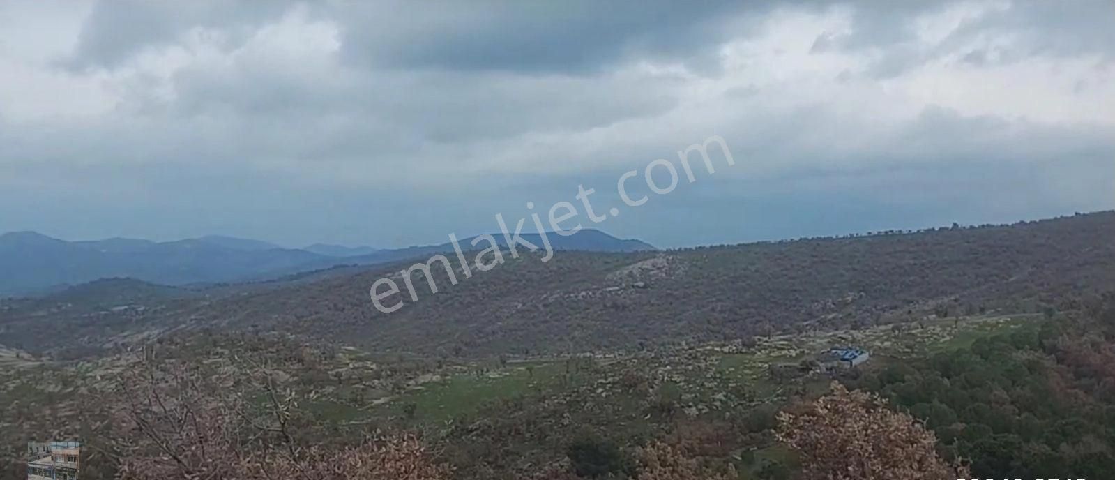 Balıkesir Gömec Kobaşlar Da Satılık 10,000 Metre Kare Bağ Evi Arsası - Görsel 20