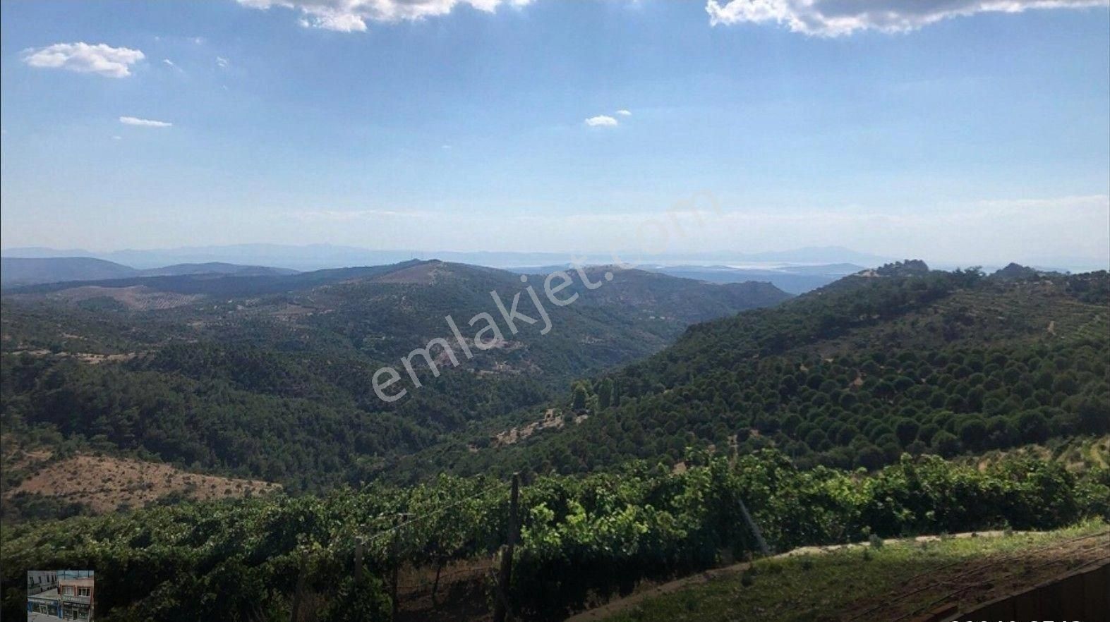 Balıkesir Gömec Kobaşlar Da Satılık 10,000 Metre Kare Bağ Evi Arsası - Görsel 4