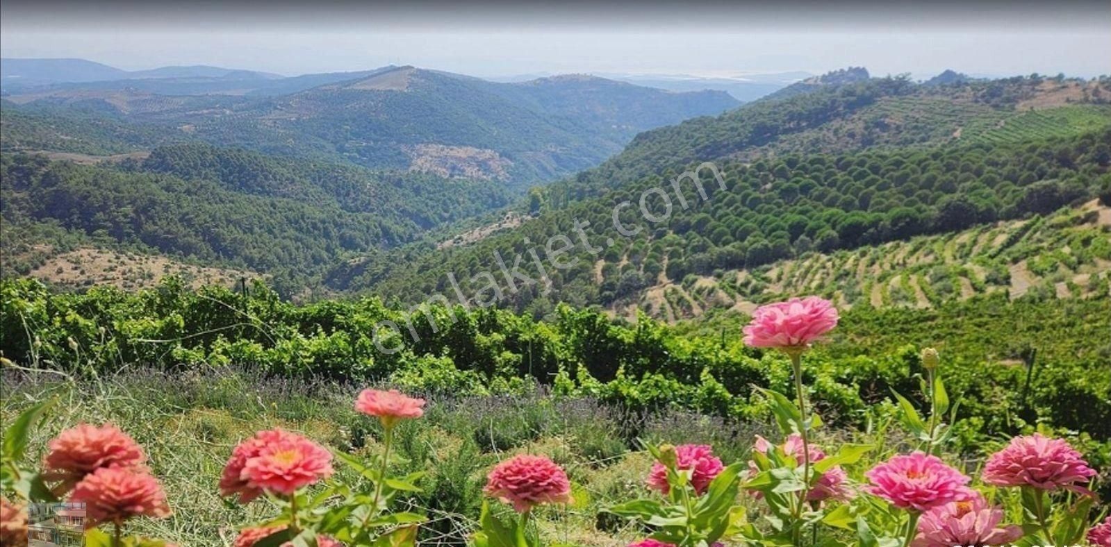 Balıkesir Gömec Kobaşlar Da Satılık 10,000 Metre Kare Bağ Evi Arsası - Görsel 5