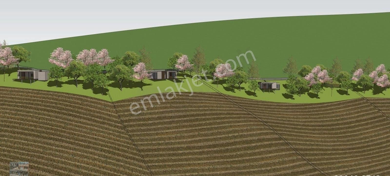 Balıkesir Gömec Kobaşlar Da Satılık 10,000 Metre Kare Bağ Evi Arsası - Görsel 6