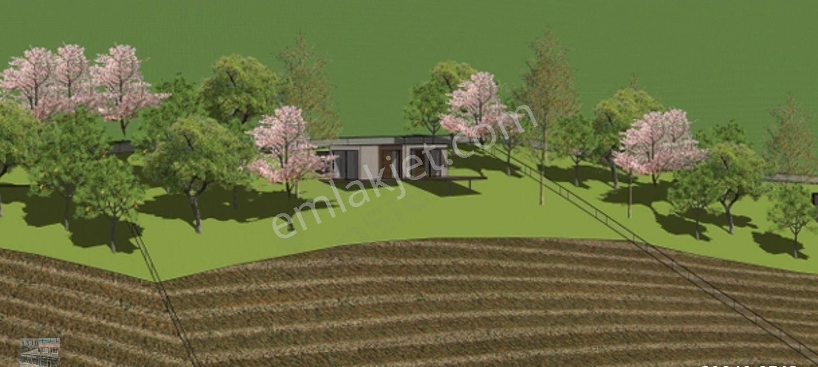 Balıkesir Gömec Kobaşlar Da Satılık 10,000 Metre Kare Bağ Evi Arsası - Görsel 11