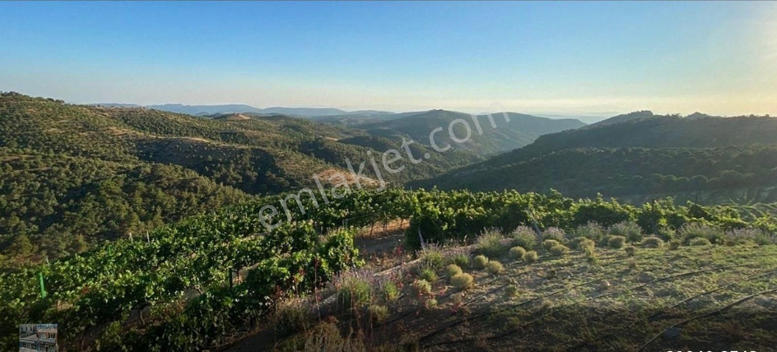 Balıkesir Gömec Kobaşlar Da Satılık 10,000 Metre Kare Bağ Evi Arsası - Görsel 22
