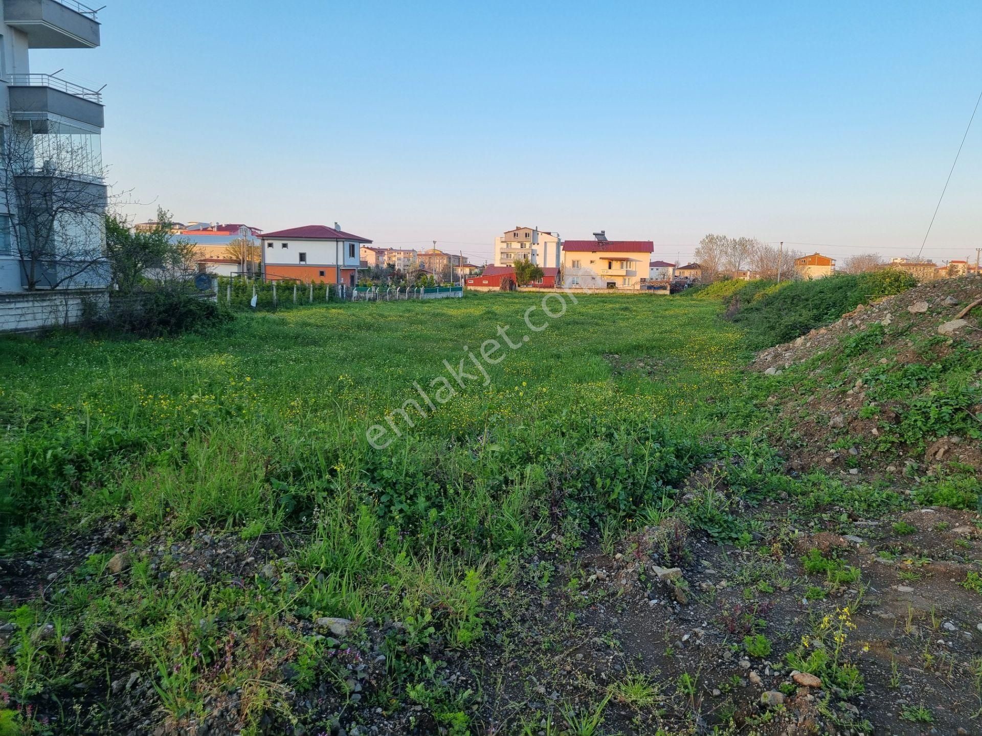 Akgün Kurumsaldan Çatalçam'da Satılık 1155 M. Arsa Anayola 210 Metre Mesafede