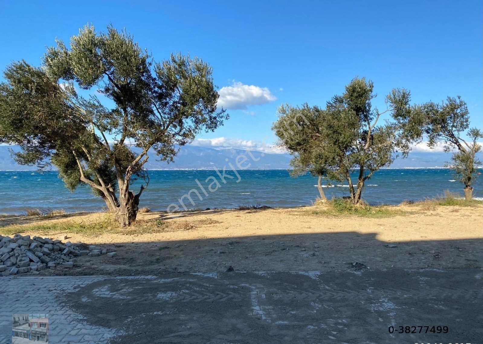 Balıkesir Burhaniye De Satılık Villa.denize Sıfır. - Görsel 6