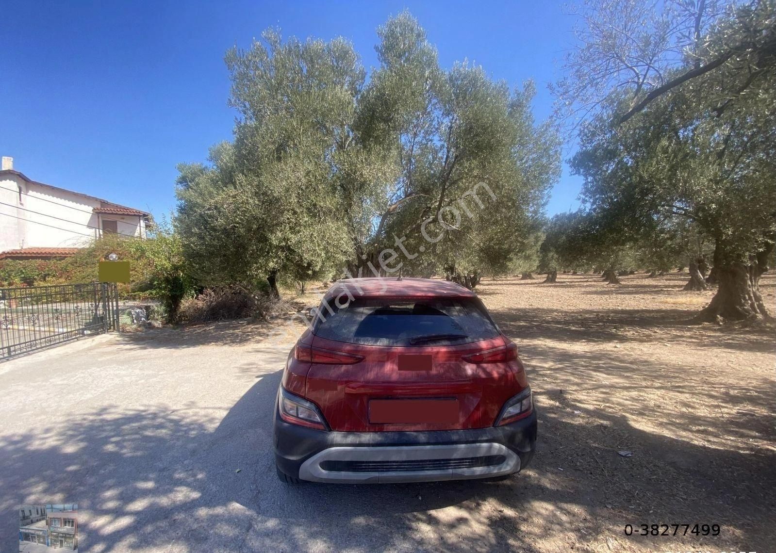 Balıkesir Ayvalık Ta Satılık 43 Donum Muhtelif İmarlı Arsa. - Görsel 6