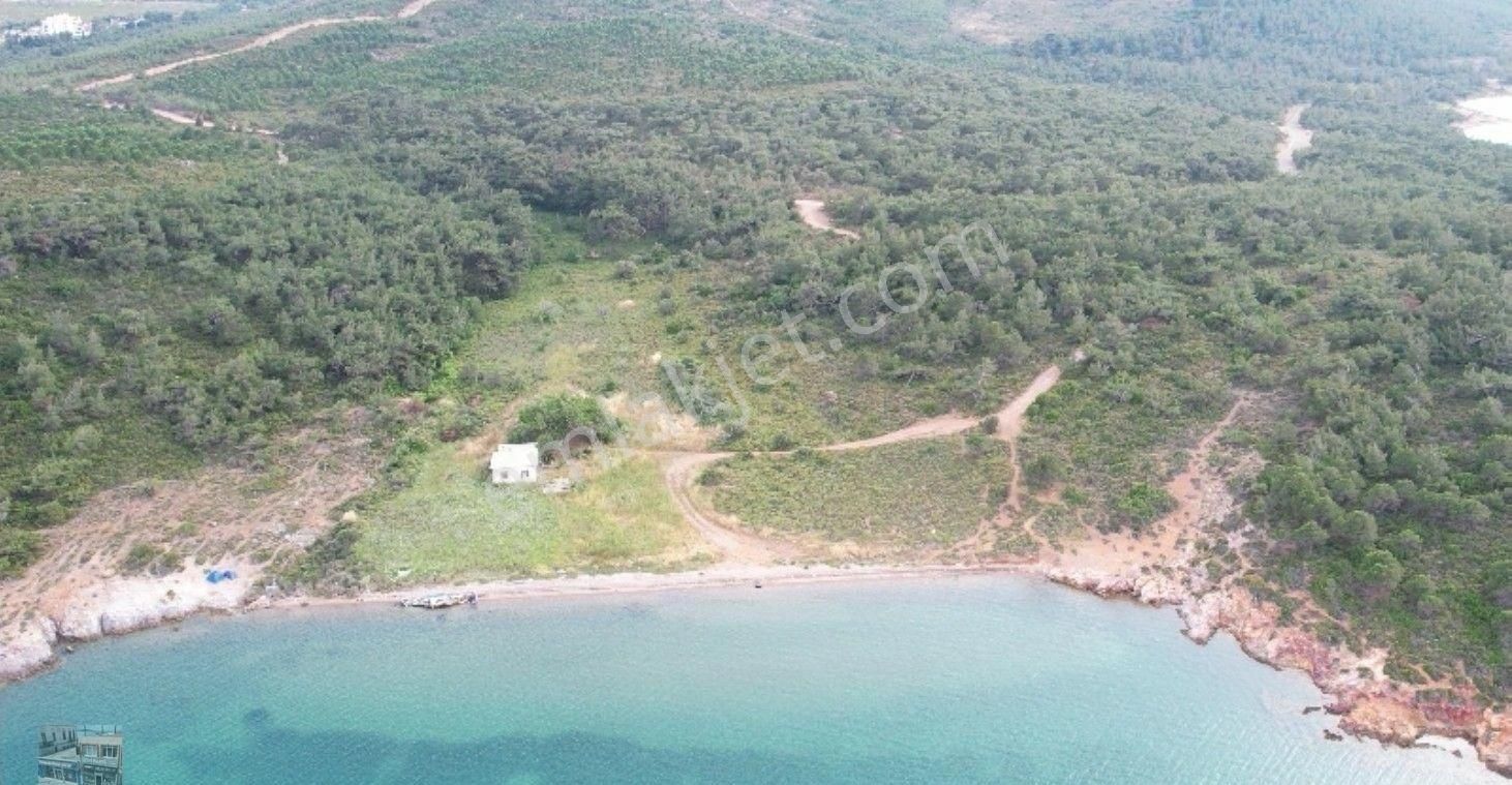 Balıkesir Ayvalık Kucukkoy De Satılık 13,775 Metre Kare Arsa.denize Sıfır - Görsel 4