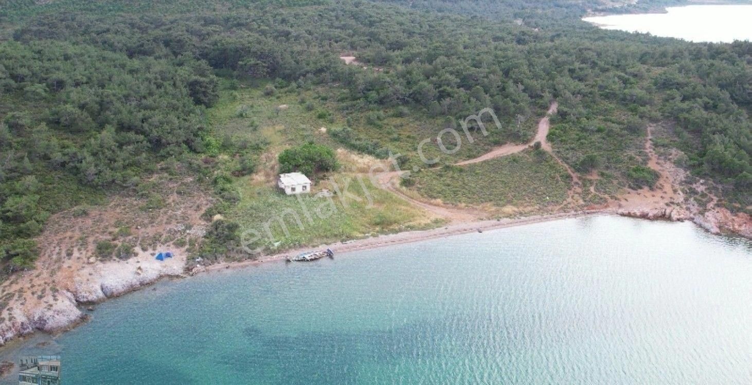 Balıkesir Ayvalık Kucukkoy De Satılık 13,775 Metre Kare Arsa.denize Sıfır - Görsel 2