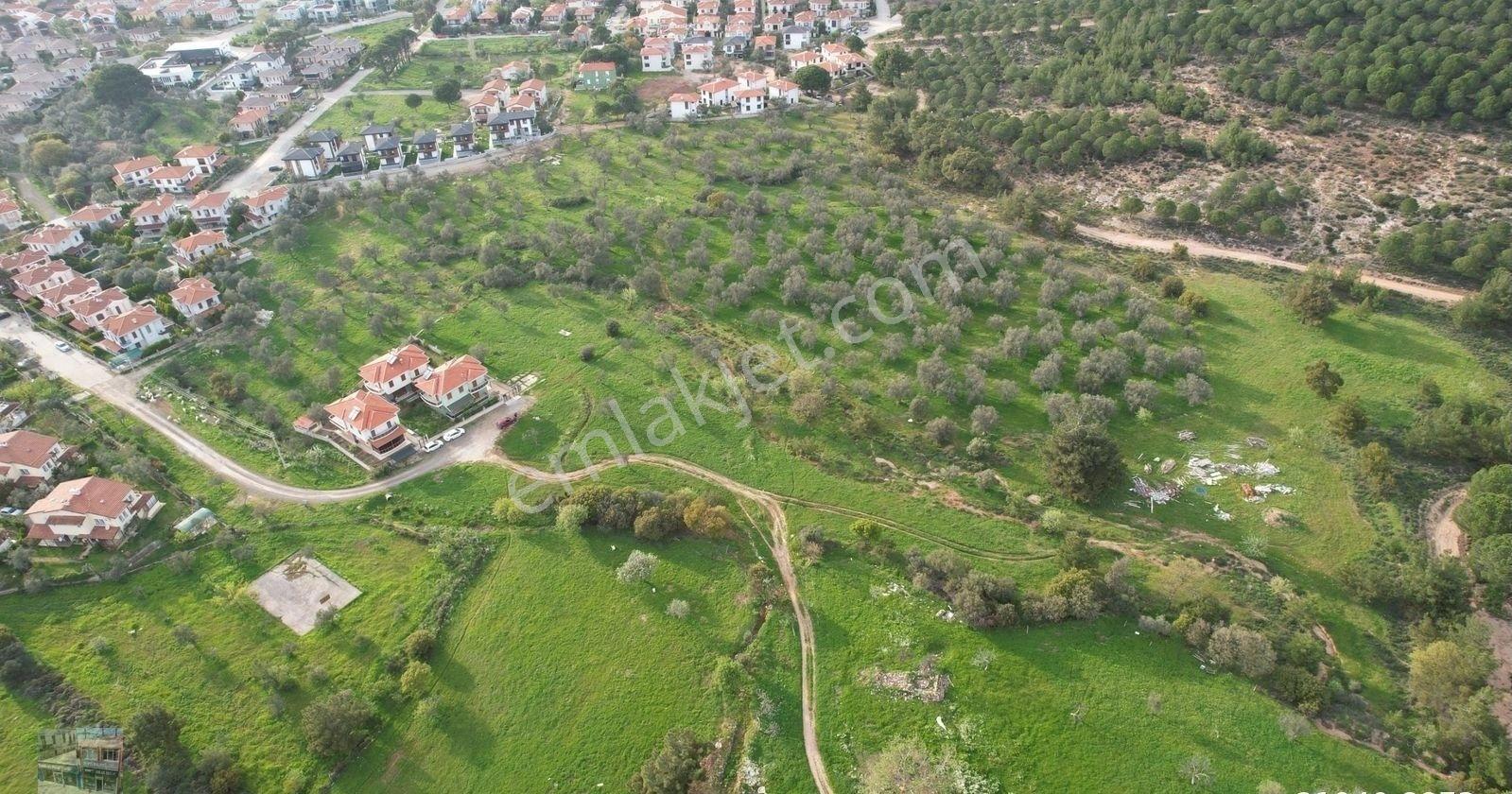 Ayvalık Camlık Ta Satılık 2213 Metre Kare Villa İmarlı Arsa. - Görsel 8