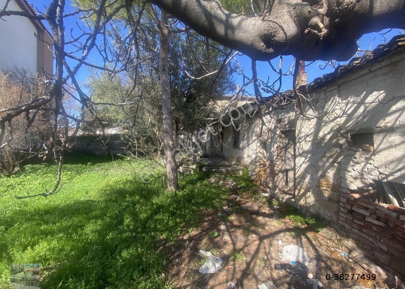 Balıkesir Ayvalık Mutlu Da Satılık Mustakil Ev.(taş Bina ). - Görsel 9