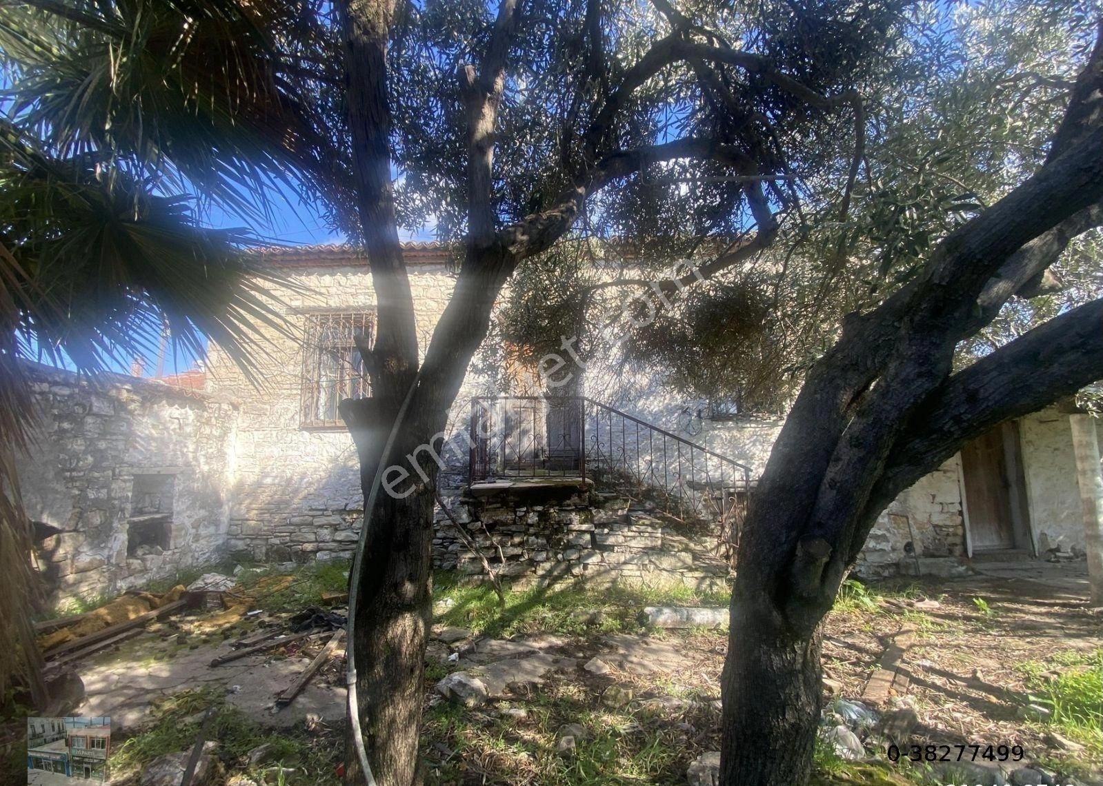 Balıkesir Ayvalık Mutlu Da Satılık Mustakil Ev.(taş Bina ). - Görsel 20