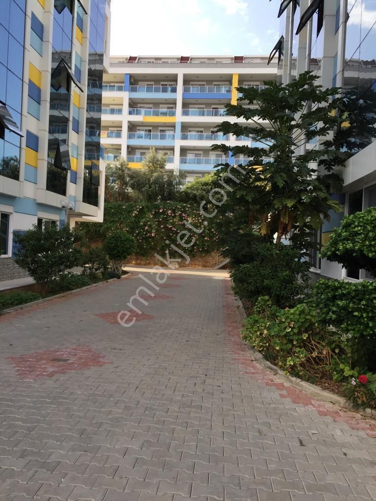 Kestel Lary Gueen 1+1 - Görsel 9