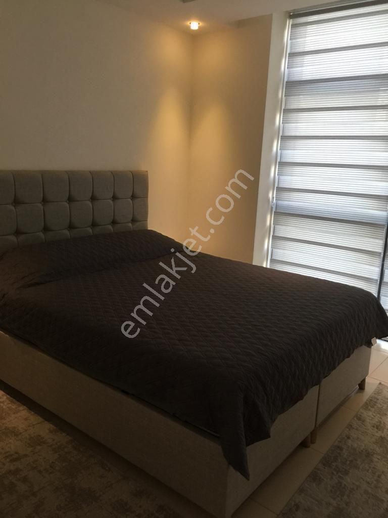 Kestel Lary Gueen 1+1 - Görsel 3