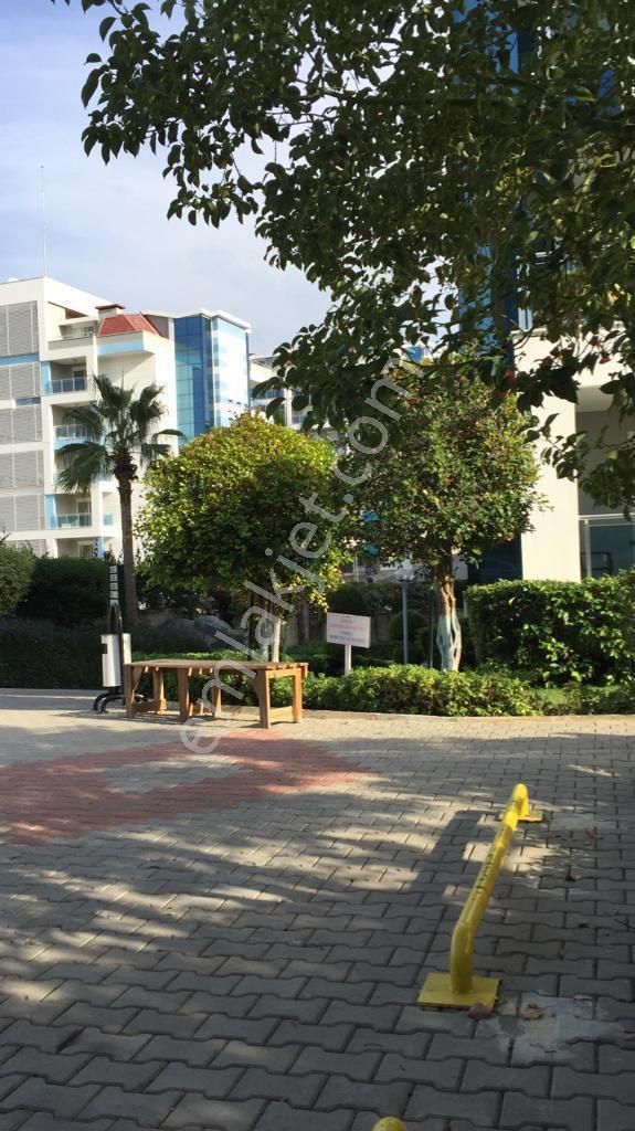 Kestel Lary Gueen 1+1 - Görsel 12