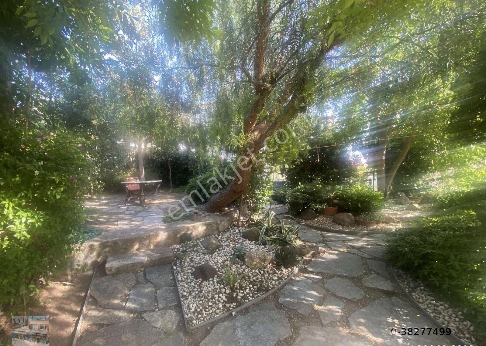 Balıkesir Ayvalık Cunda Da Satılık Mukemmel Taş Ev.geniş Bahceli - Görsel 34