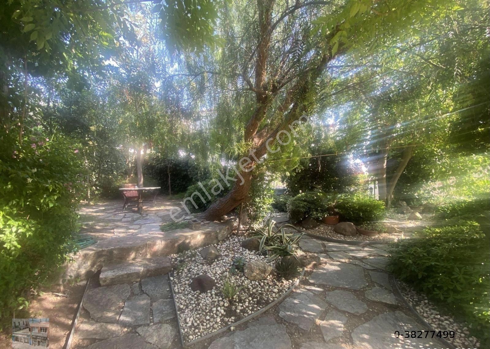 Balıkesir Ayvalık Cunda Da Satılık Mukemmel Taş Ev.geniş Bahceli - Görsel 31