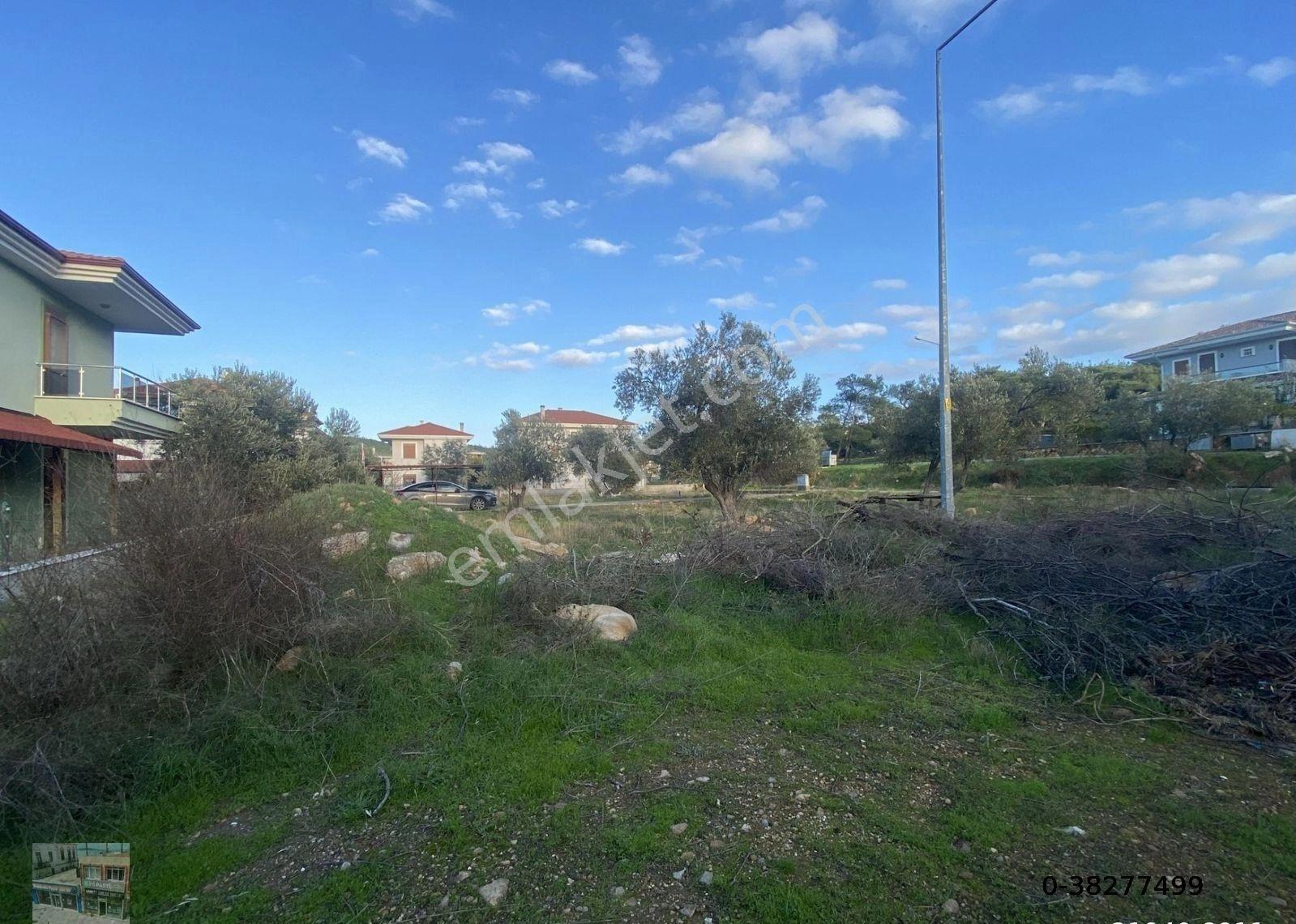 Ayvalık Camlık Ta Satılık 600 Metre Kare Villa İmarlı Arsa.2 Adet Bagımsız Villa Yapımına Uygundur - Görsel 3