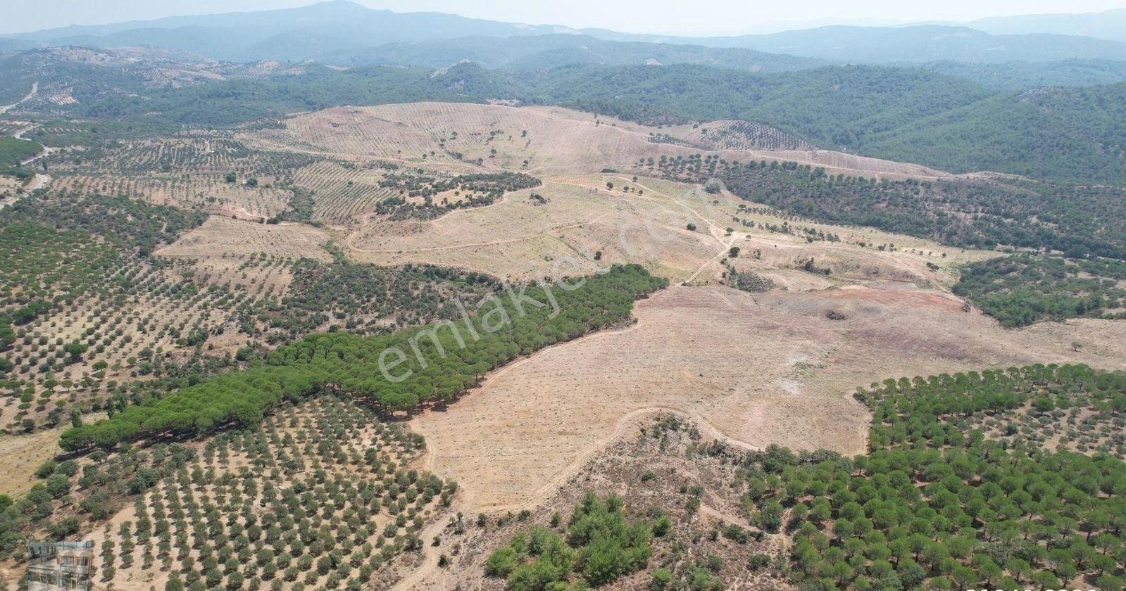 Balıkesir Gömec Te Satılık 63,978 Metre Kare Satılık Arsa.