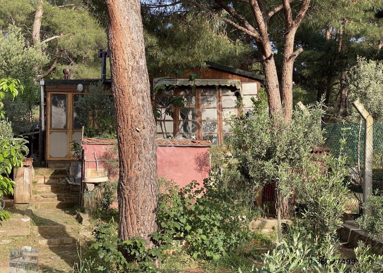 Balıkesir Ayvalık Camlık Ta Satılık Mustakil Ev.denize 90 Metre Mesafede - Görsel 13