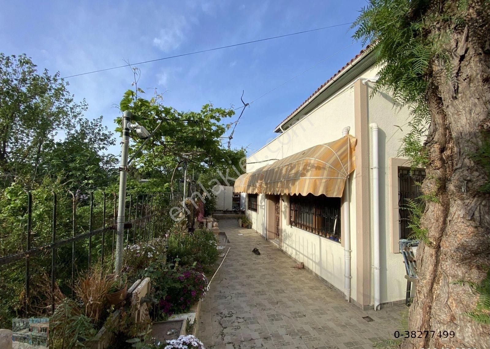 Balıkesir Ayvalık Camlık Ta Satılık Mustakil Ev.denize 90 Metre Mesafede - Görsel 20