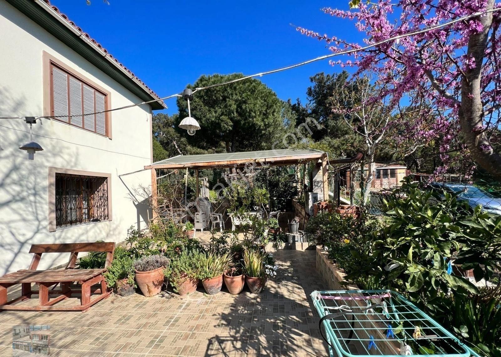 Balıkesir Ayvalık Camlık Ta Satılık Mustakil Ev.denize 90 Metre Mesafede - Görsel 7