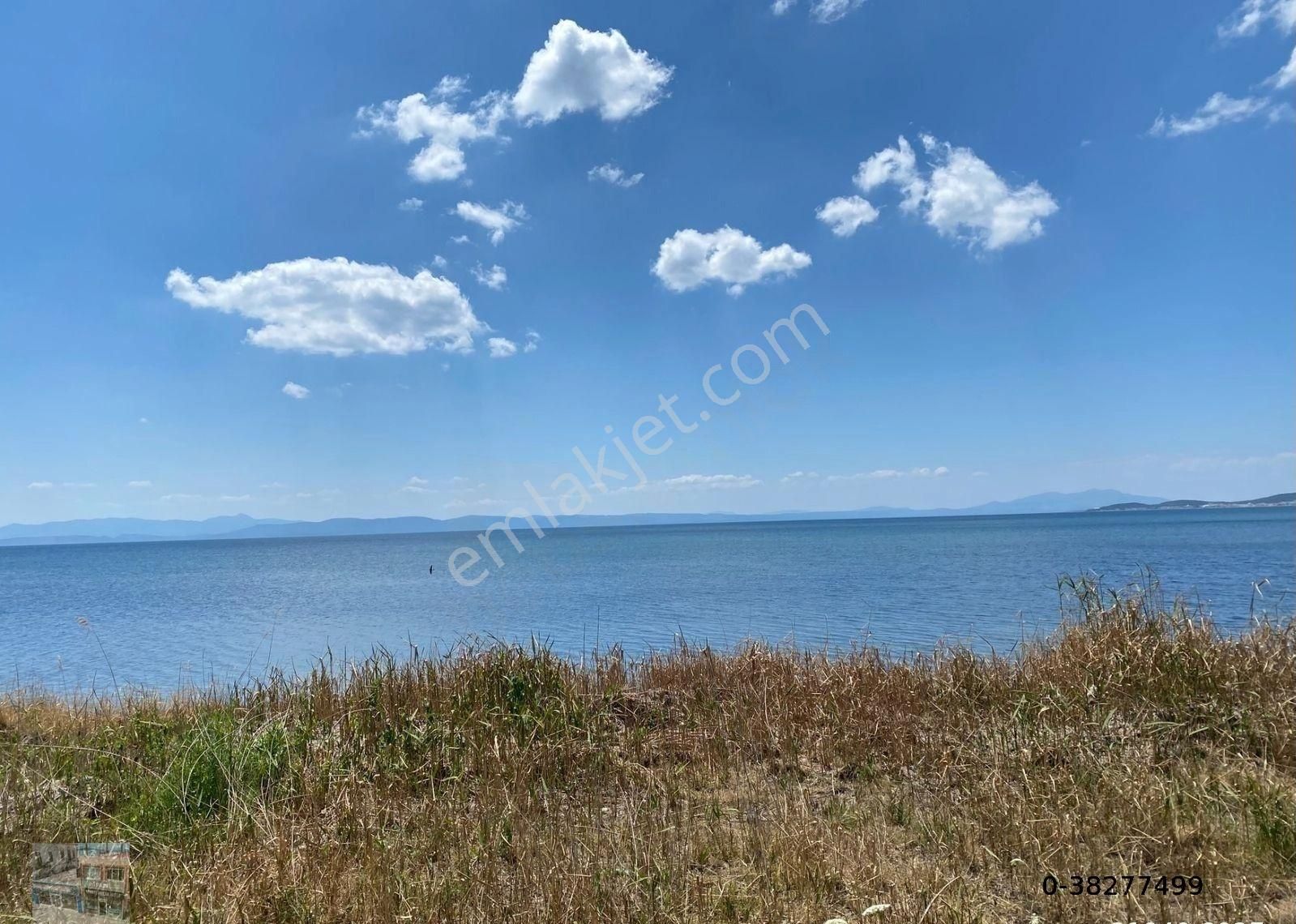 Balıkesir Ayvalık Sarımsaklı Da Satılık 7,200 Metre Kare Turizm İmarlı Arsa.denize Sıfır. - Görsel 2