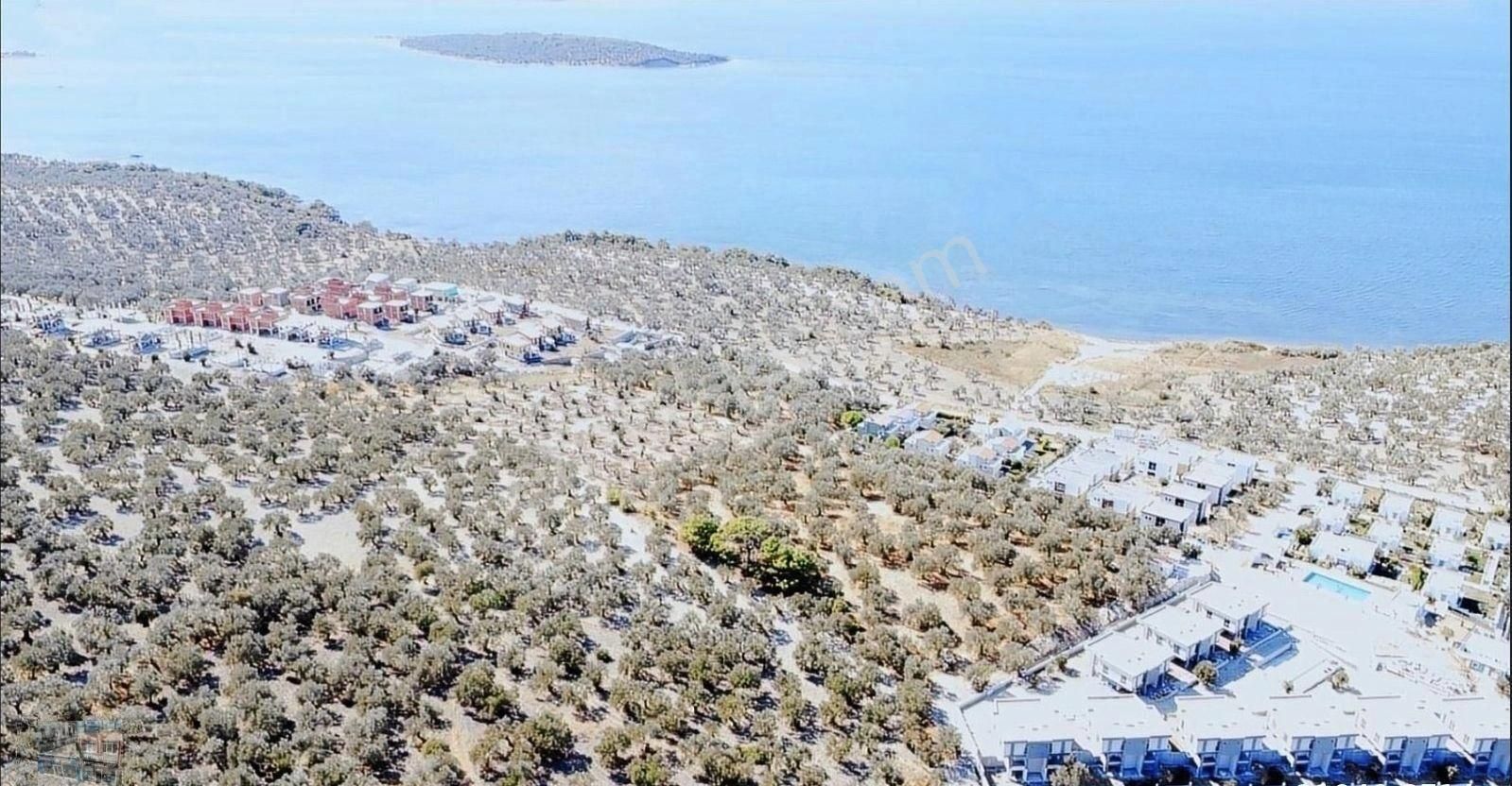 Balıkesir Gömeç Te Satılık 3,716 Metre Kare Villa İmarlı Arsa