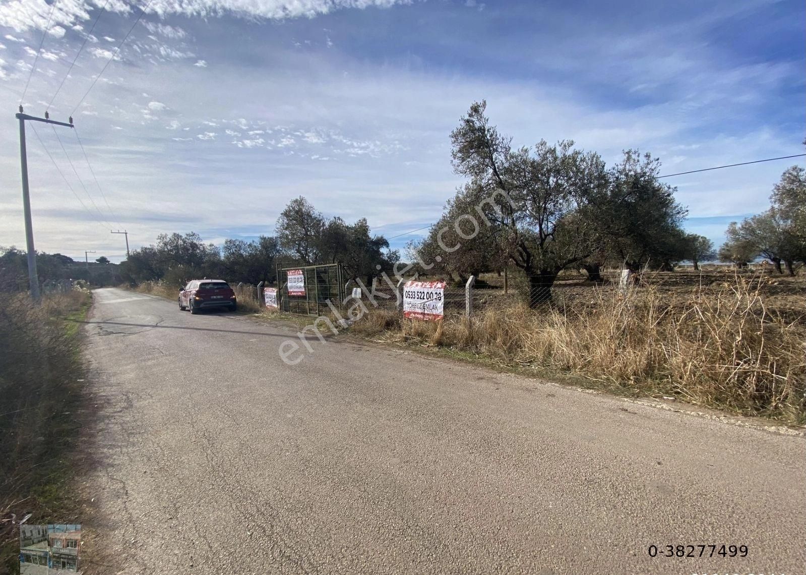 Balıkesir Ayvalık Sakarya Da Satılık 18 Donum Zeytinlik.yola Cepheli. - Görsel 20