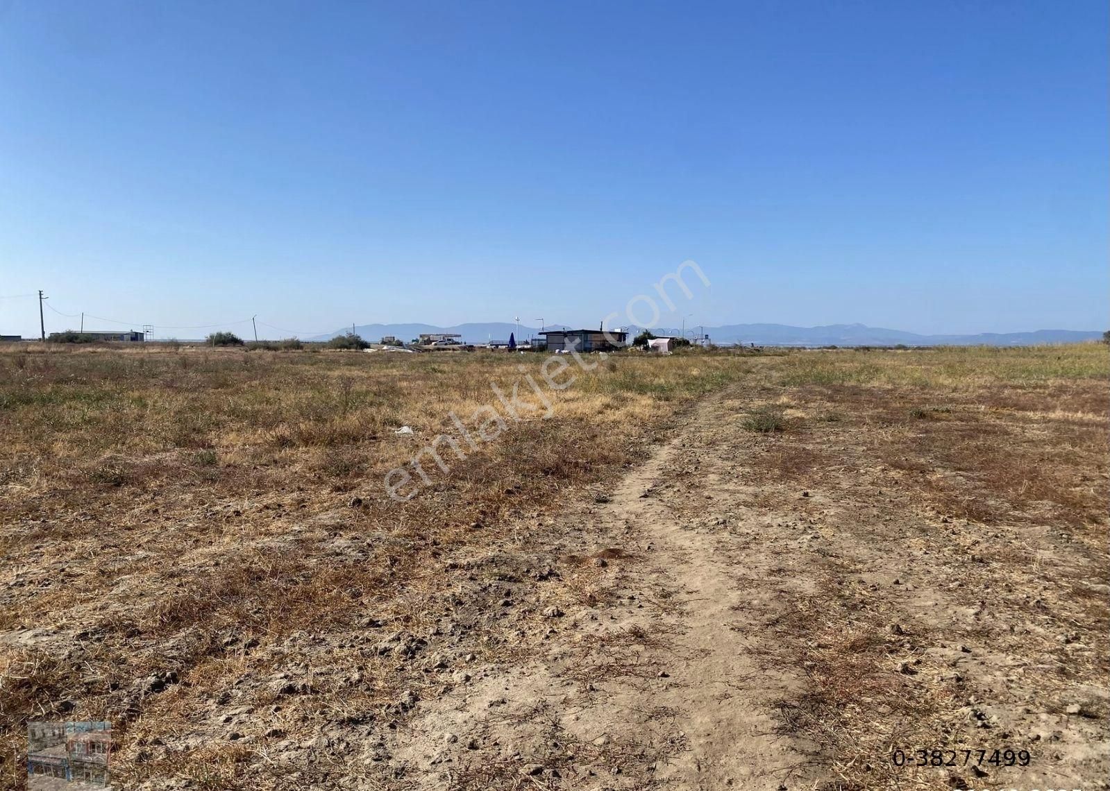 Balıkesir Ayvalık Altınova Da Satılık 25,603 Metre Kare Turizm İmarlı Arsa.denize Sıfır. - Görsel 2