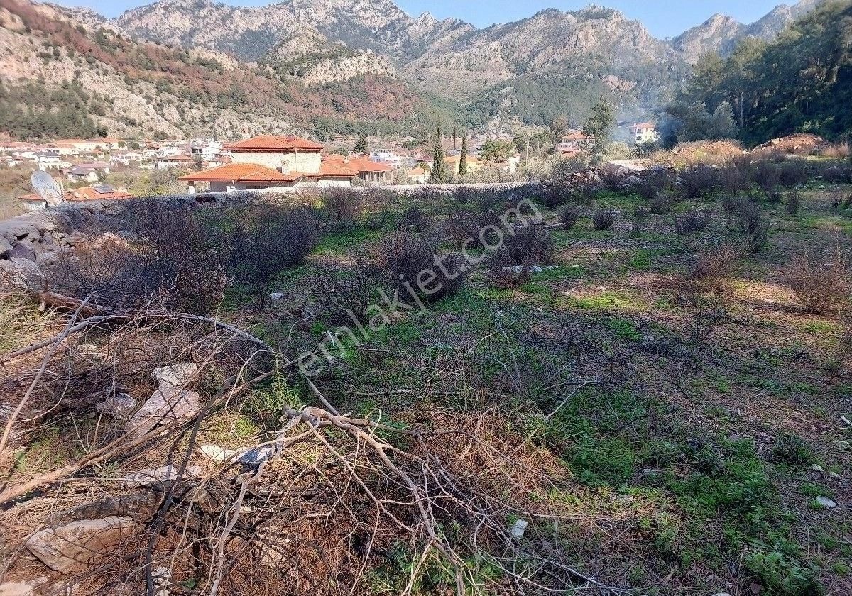 Orhaniye Güneş Emlaktan Fuul Denize Manzaralı Tarla - Görsel 4