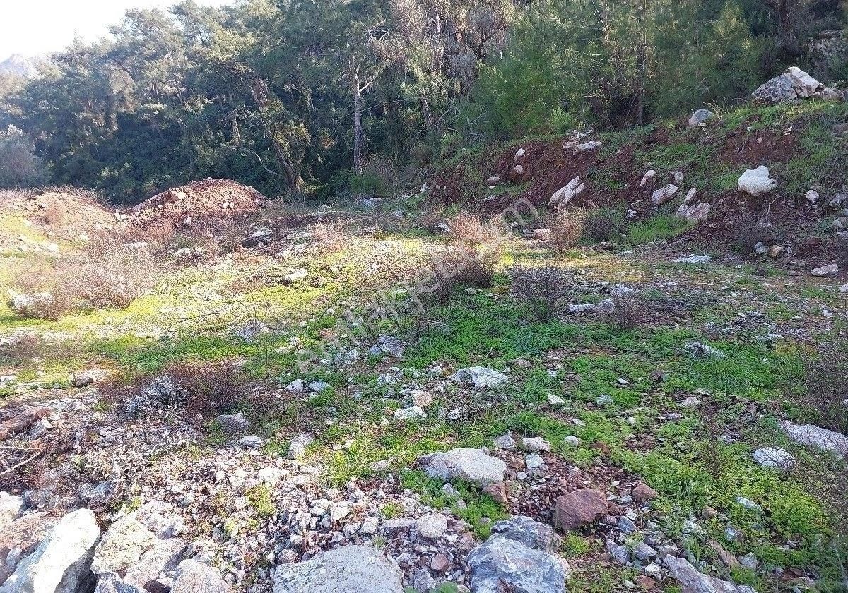 Orhaniye Güneş Emlaktan Fuul Denize Manzaralı Tarla - Görsel 6