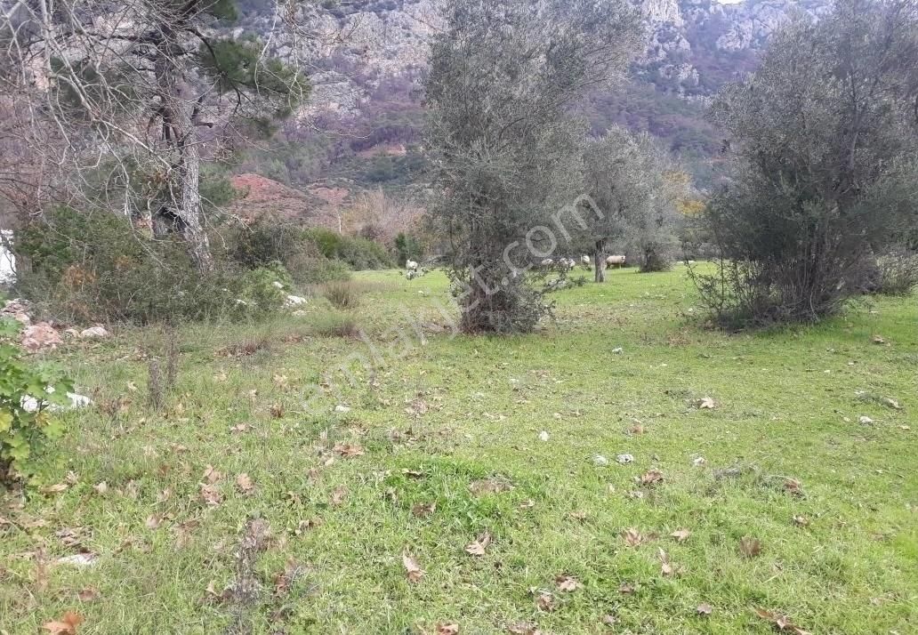 0rhaniye Güneş Emlaktan Konut Imarlı Tarla