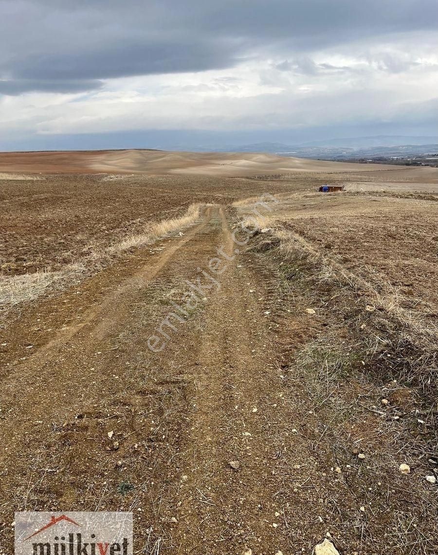 Velihimmetli Mahallesinde İster Yatırımlık İster Bahçe Yapımı İçin Uygun Arazimiz 1000 Metrekare