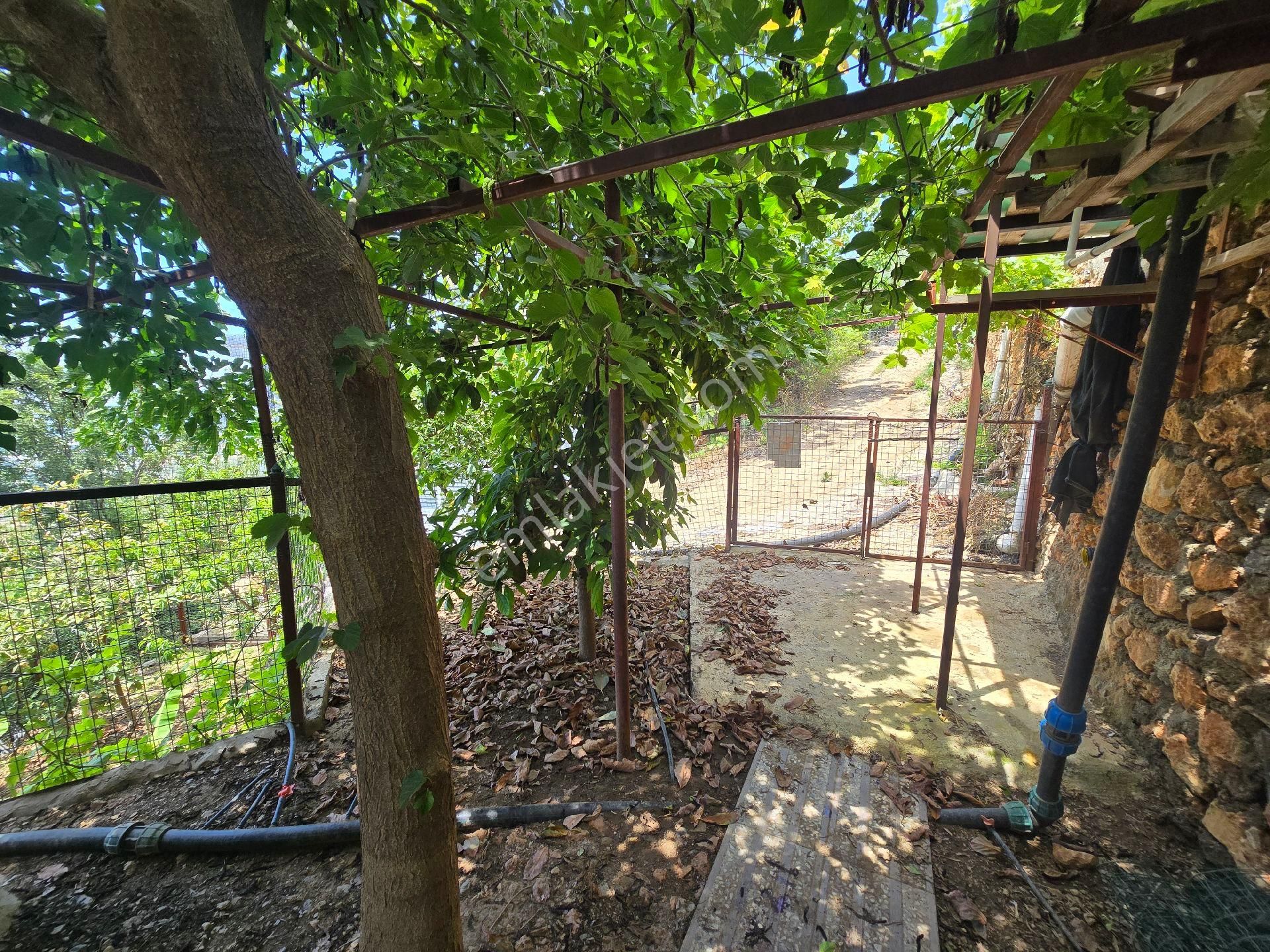 Alanya Kestelde Satılık 1000 M2 Arsa Alanlı Özenle Yapılmış Villa - Görsel 31