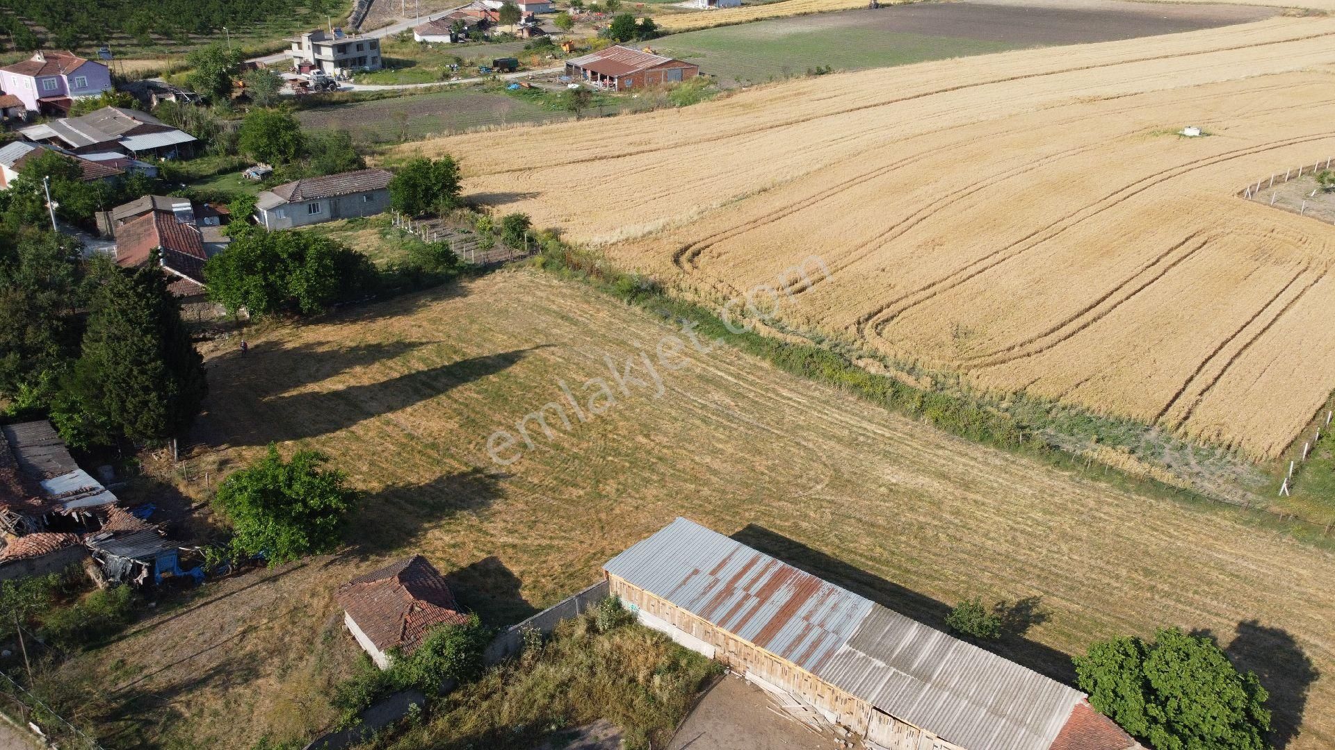 Manyas Çakırca Mahallesin'de Satılık 3.942 M2 Evimiz Ve Arsası - Görsel 7