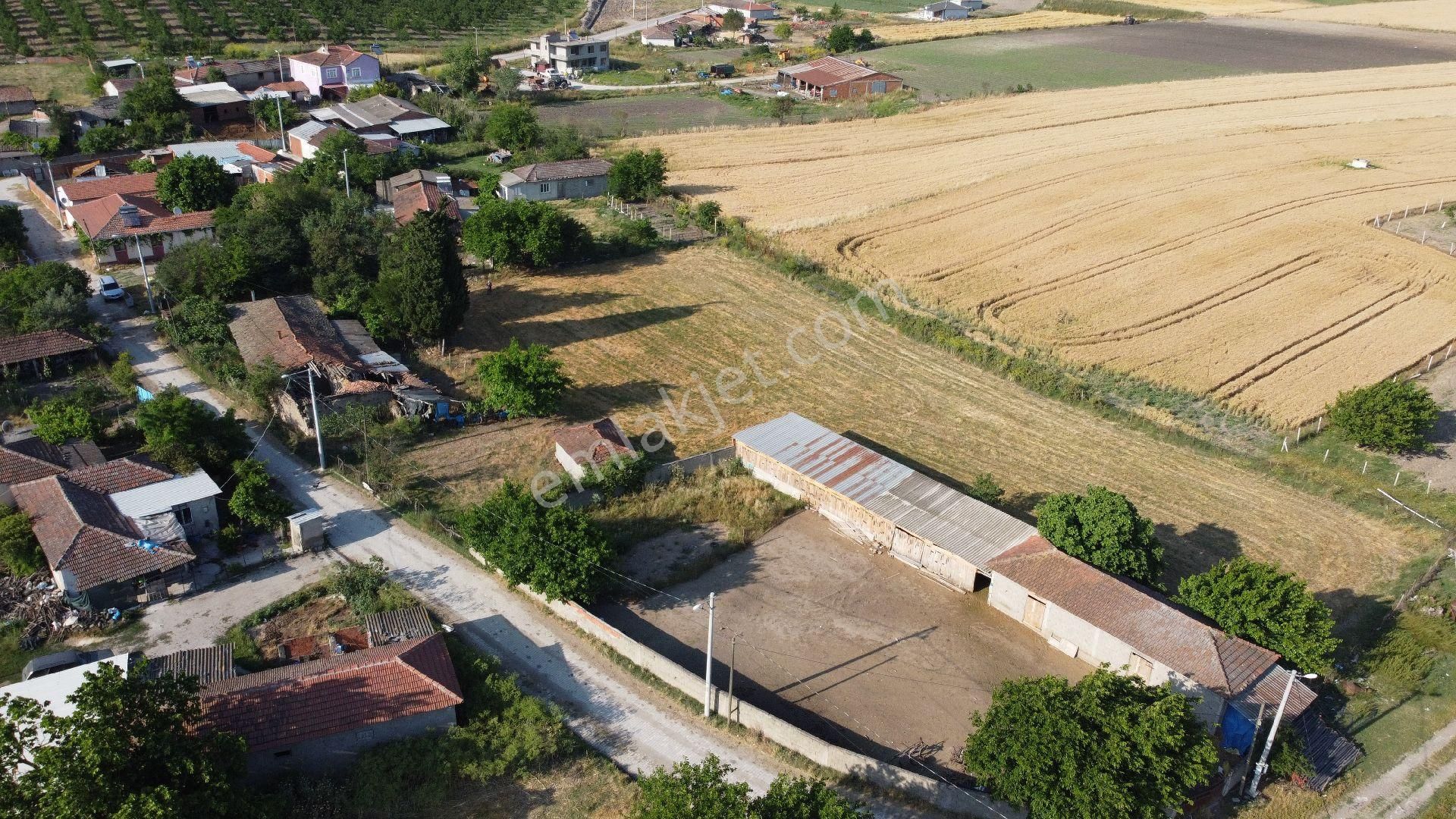 Manyas Çakırca Mahallesin'de Satılık 3.942 M2 Evimiz Ve Arsası - Görsel 9