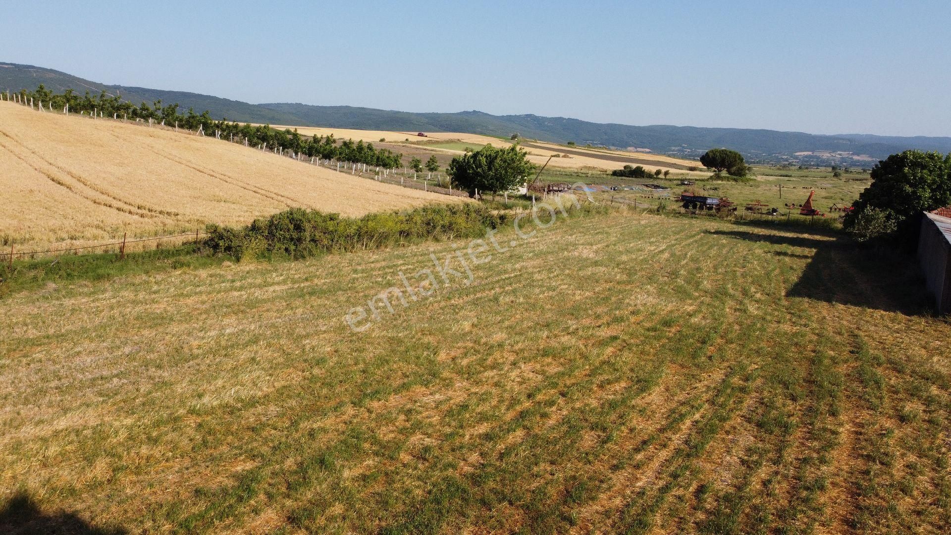 Manyas Çakırca Mahallesin'de Satılık 3.942 M2 Evimiz Ve Arsası - Görsel 5