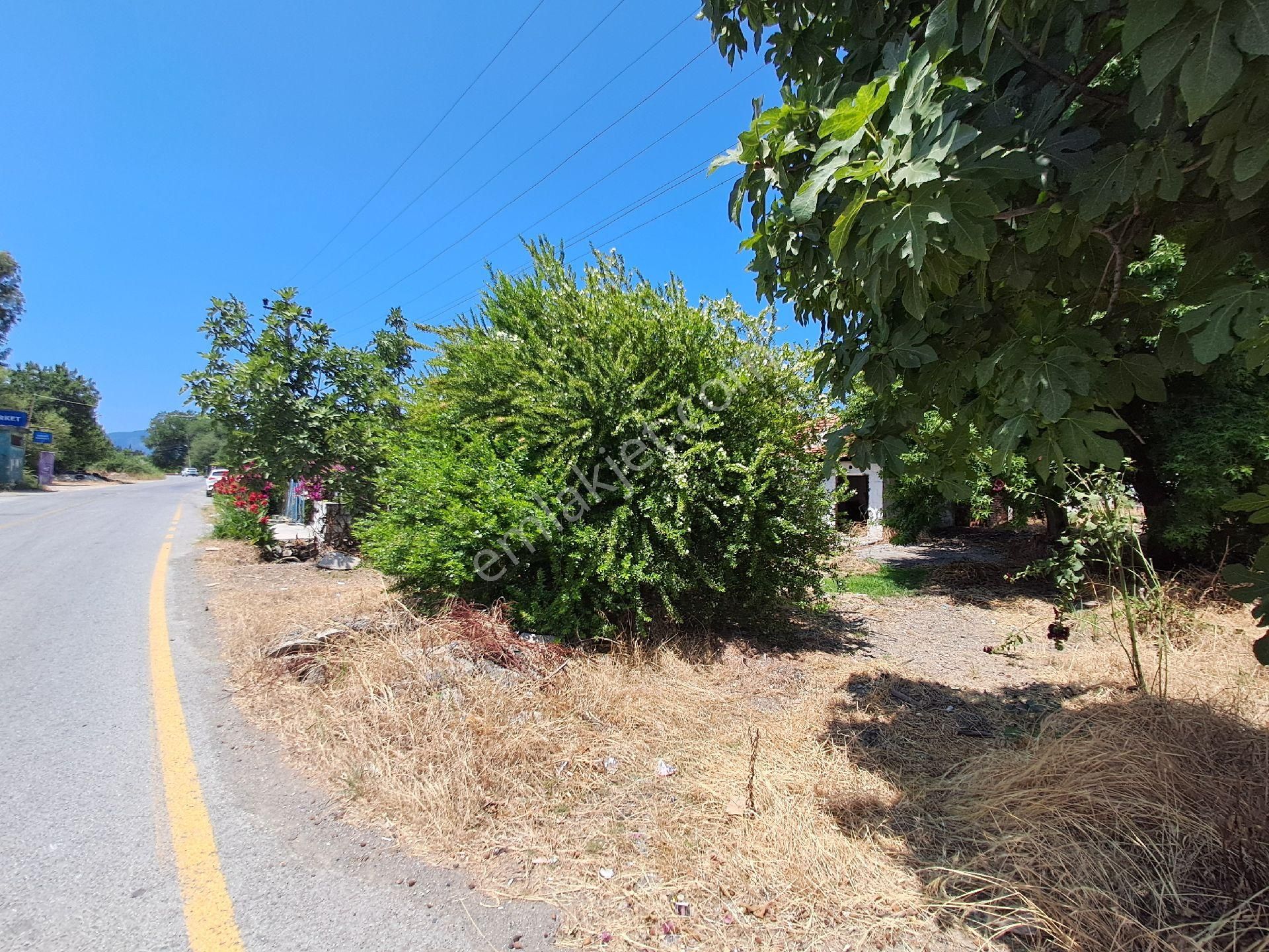 Ortaca Dikmekavakta 544 M2 İmarlı Arsa - Görsel 4