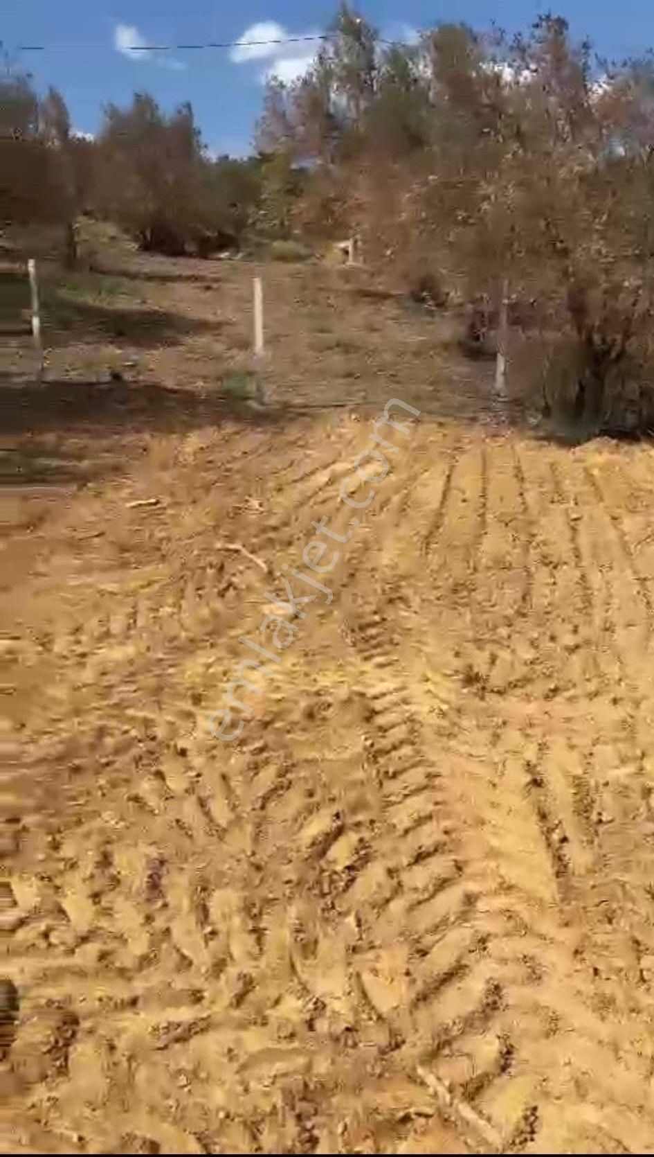Burhaniye Pelitköy Köyiçi Müstakil Villalık 320 M2 Satılık Arsa!