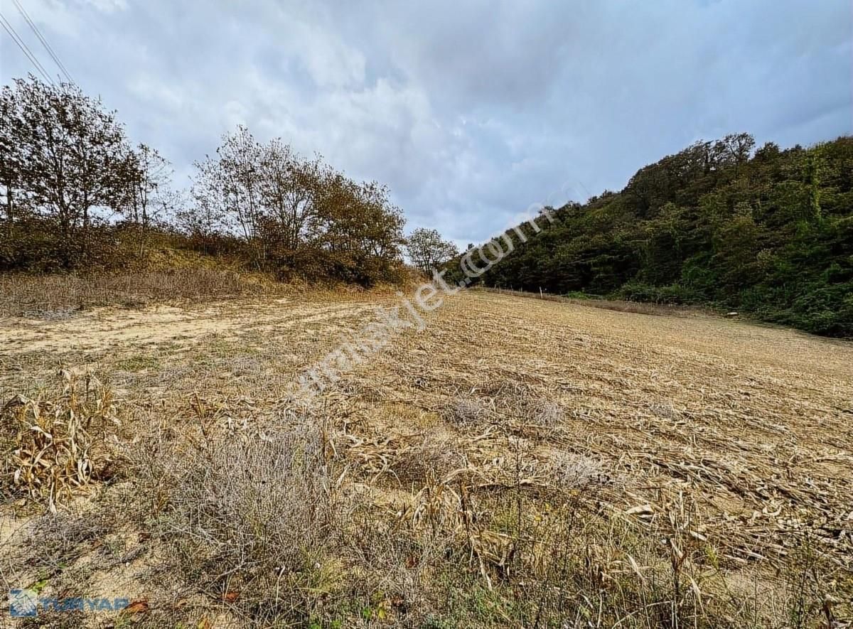 Sakarya Kaynarca Yeniçam Köyü 976 M2 Tek Tapu Satılık Tarla