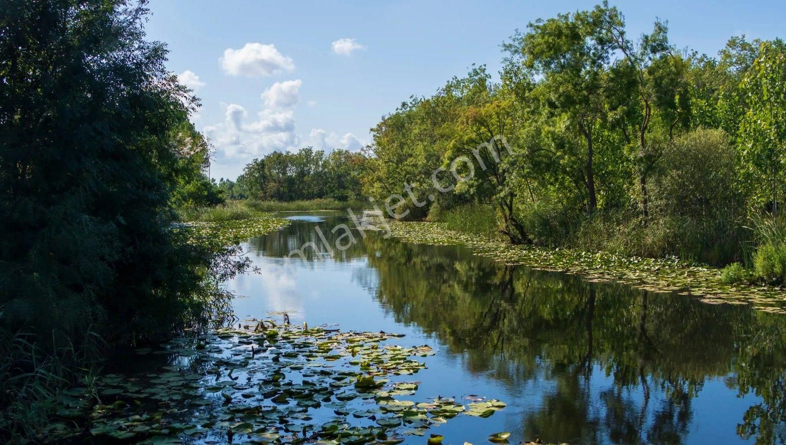 Satılık Konut İmarlı Müstakil Arsa - Demirköy / Kırklareli