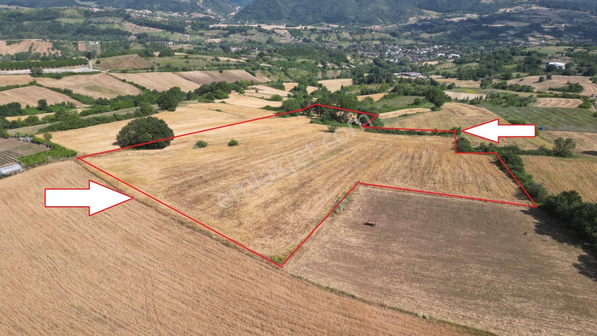 Kocaeli Karamürsel Yalakdere Satılık 20.287 M2 Tarla