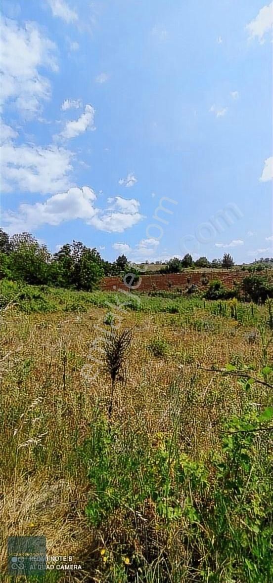 İnegöl Çitli Köy Yoluna Cephe Yatırımlık Arazi