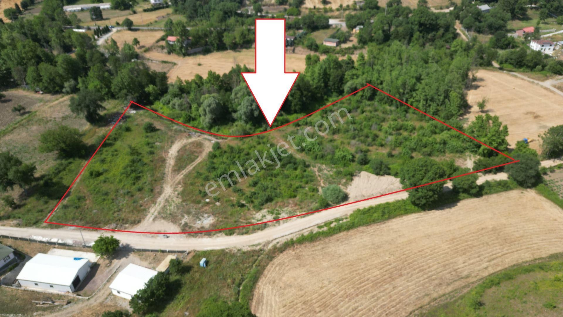 Kocaeli Karamürsel Valideköprü Satılık 20.565 M2 Tarla