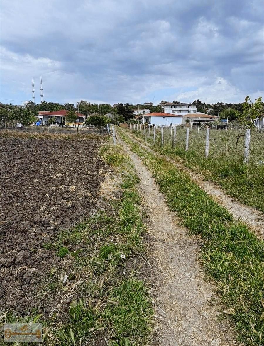 Sizin Halen Hobi Bahçeniz Yok Mu - Görsel 3