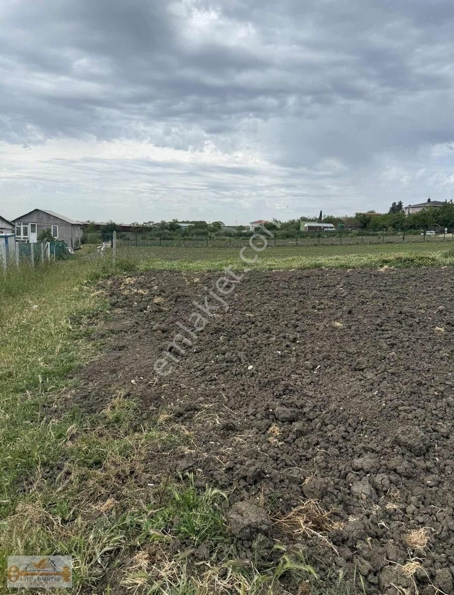 Sizin Halen Hobi Bahçeniz Yok Mu - Görsel 11